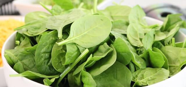 how to grow spinach in pots4