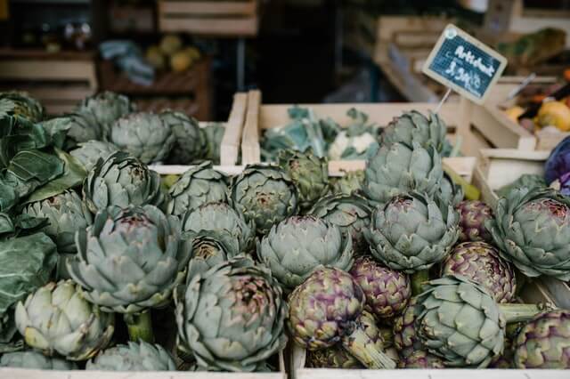 How To Grow Artichokes From Seeds And Crowns