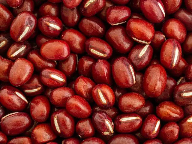 How To Grow Adzuki Beans From Seeds In 8 Easy Steps