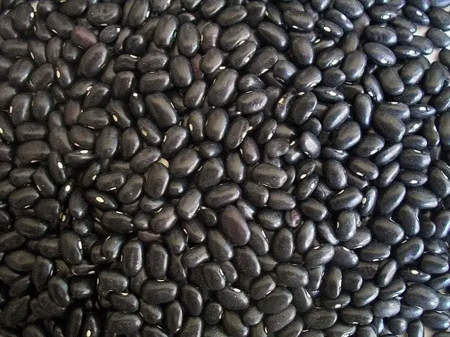 How To Grow Black Beans From Seeds At Home