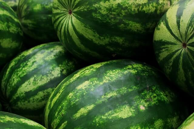 How To Harvest Watermelon Step By Step Guide
