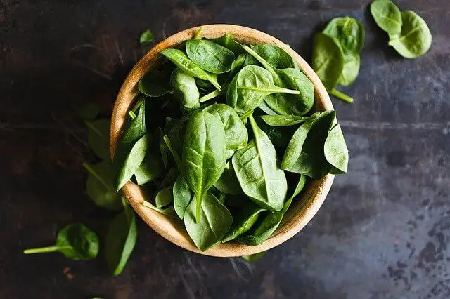 How To Harvest Basil Without Killing The Plant