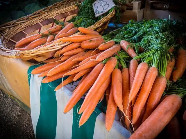 When To harvest Carrots? Now Explained