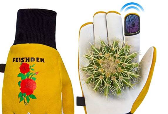 Best Gardening Gloves For Handling And Planting Cactus