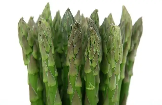 How To Grow Asparagus From Roots