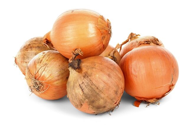 How To Grow Onions At Home Without Seeds