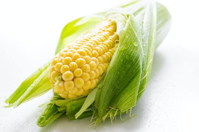 How To Prepare Corn Seeds For Planting