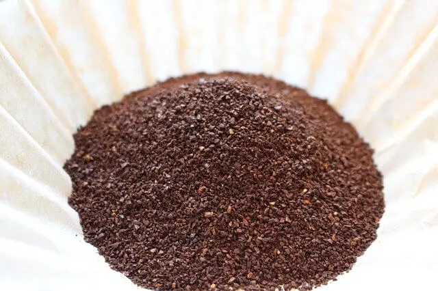 Do Roses Like Coffee Grounds? (Step By Step Answer)