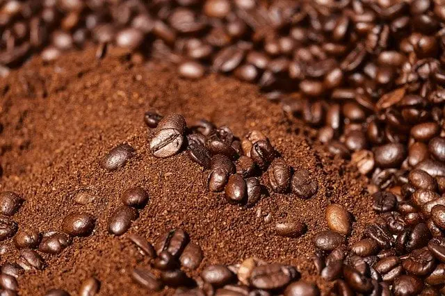 Which Plants Do Not Like Coffee Grounds? Step By Step Answer