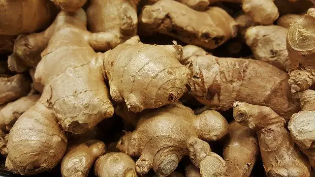 How Long Does Ginger Take To Grow?