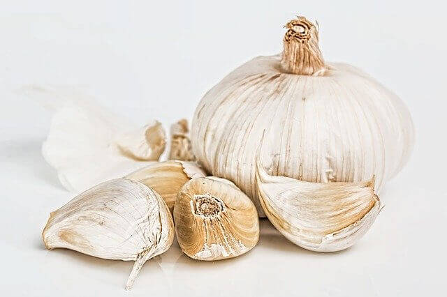 How To Grow Garlic In A Plastic Bottle