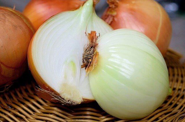 How To Plant Onions
