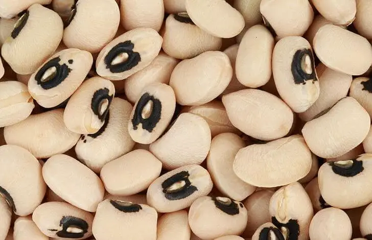 How to Grow Cowpeas In Containers