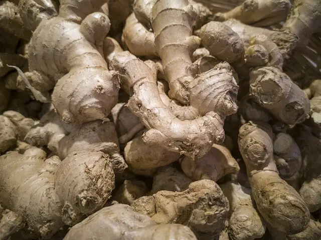 What Are The Best Conditions For Ginger Root To Grow