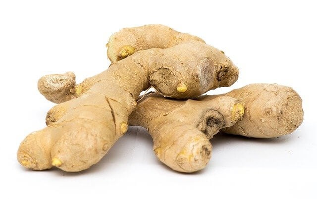 How To Grow Ginger In Containers And Get A Huge Harvest