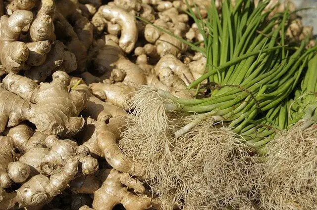 Learn About The Types of Ginger In Nigeria