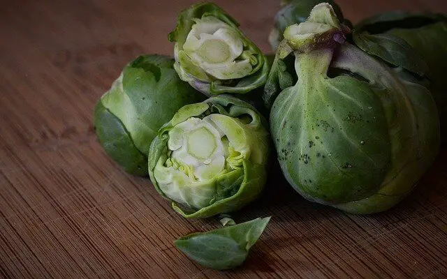 Are Brussel Sprouts Hard to Grow
