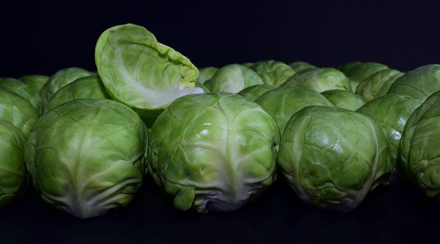 What is a Good Companion Plant for Brussel Sprouts? 5 Plus Best Options