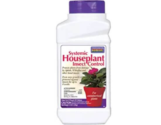 Best Systematic Houseplant Insect Control