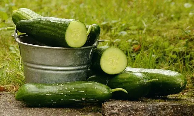 How Deep To Plant Cucumber Seeds