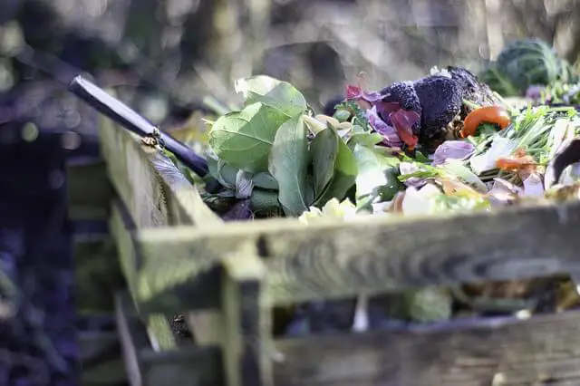 How to make Compost with Vegetable Peels