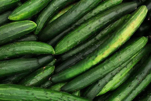 How To Grow Cucumbers From Seeds Outdoors