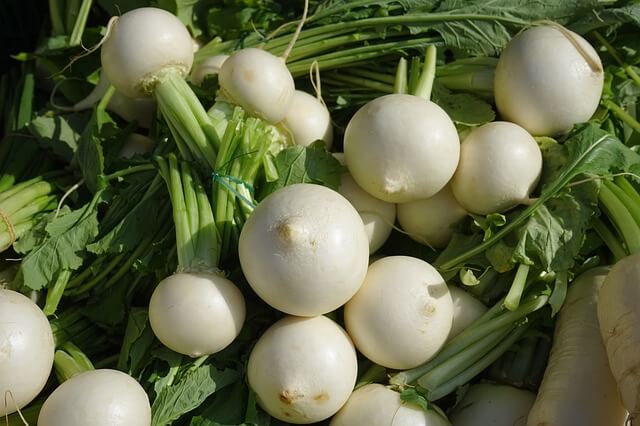 Grow Turnips In Containers