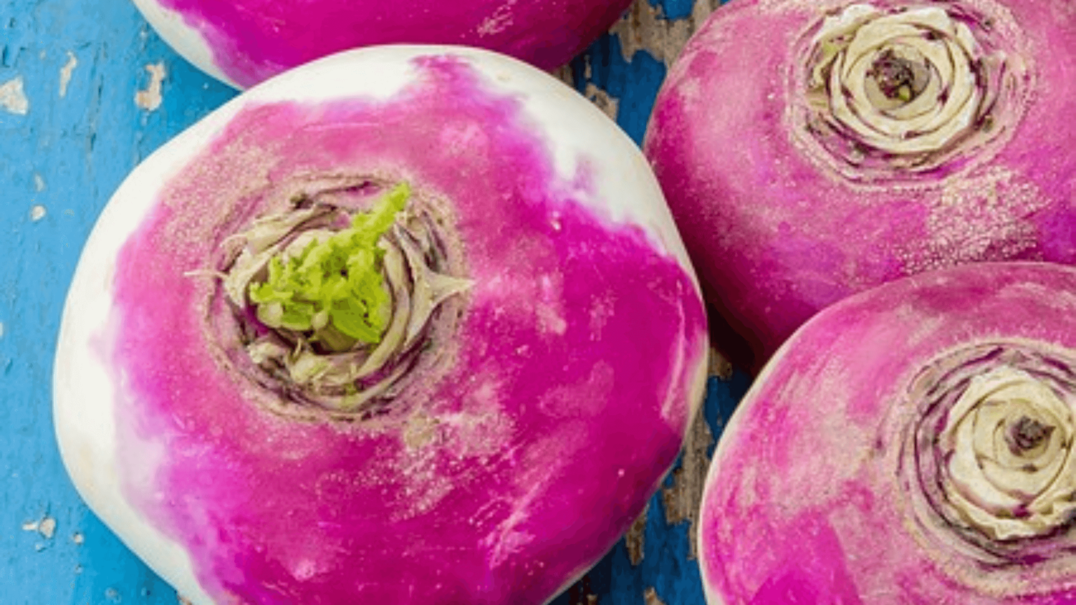 How To Grow Purple Top Turnips Step By Step Webgardener Learn