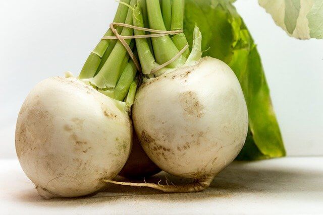 How To Grow Turnip Greens