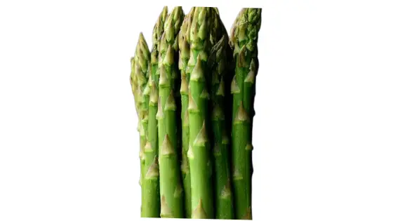 How Fast Does Asparagus Grow In A Day