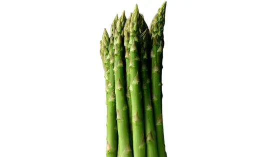 How Tall Does Asparagus Grow? Now Answered