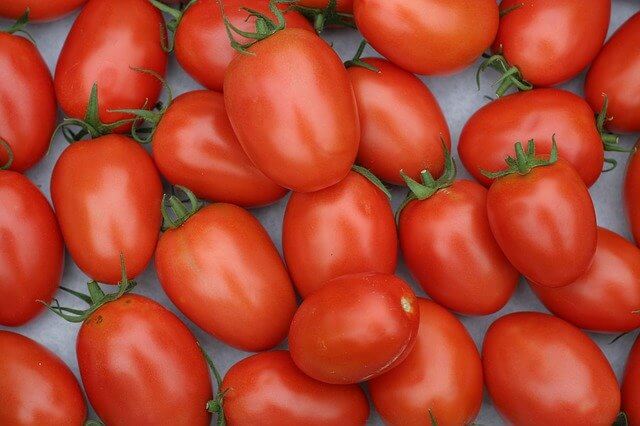 Are Roma Tomatoes Determinate Or Indeterminate? Now Answered