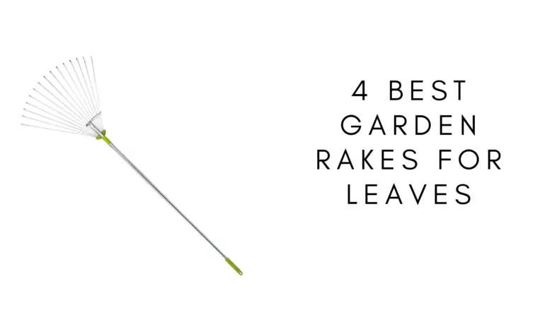 4 Best Garden Rakes For Leaves