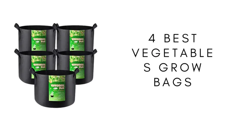 4 Best Vegetables Grow Bags