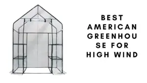 Best Greenhouses For High Winds