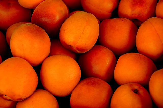 Growing Apricots in Pots: Step By Step Guide