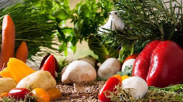 Is Dog Poop Good For Vegetable Gardens Now Answered Webgardener 
