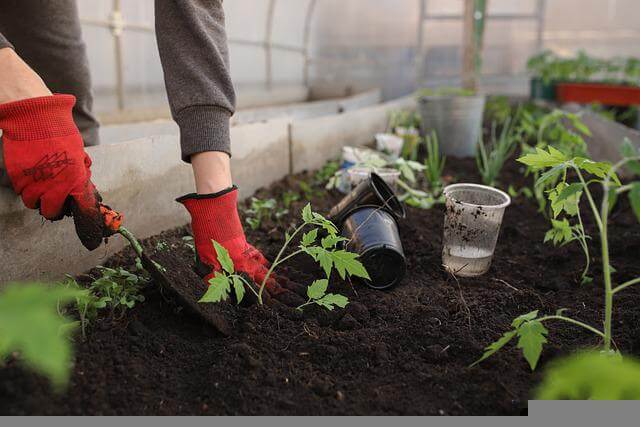 7 Unique Vegetable Gardening Ideas