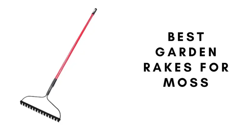 3 Best Garden Rakes For Moss