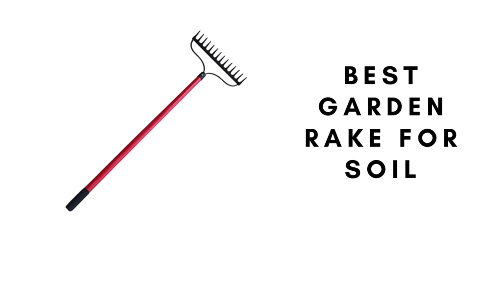 3 Best Garden Rakes For Soil