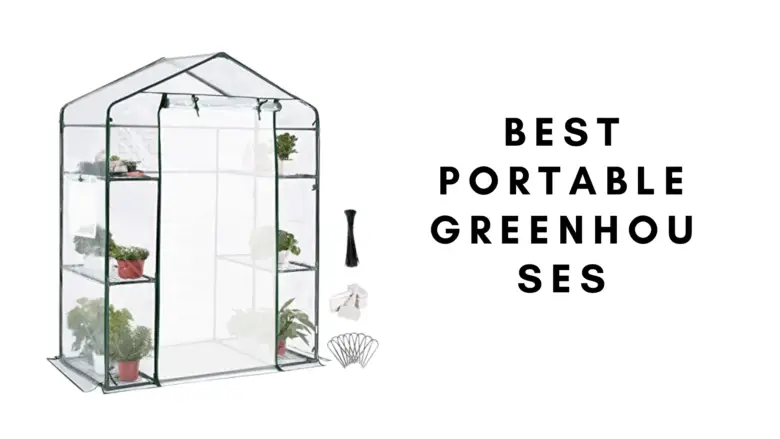3 Best Portable Greenhouses For The Money