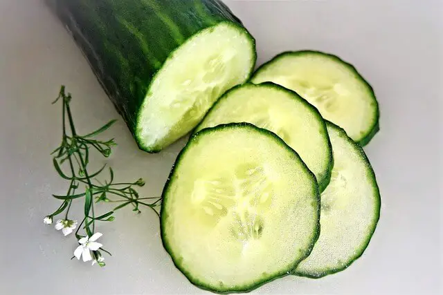 9+ Best Cucumber Companion Plants