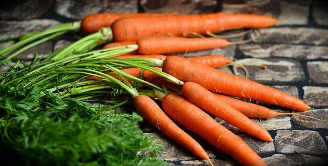 9 Best Carrot Companion Plants