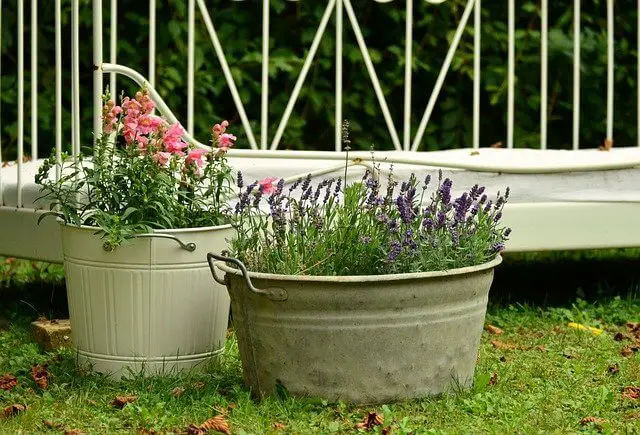 Best DIY Cheap Container Garden Ideas