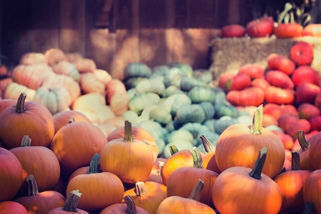 7 Creative Ways To Grow Pumpkins
