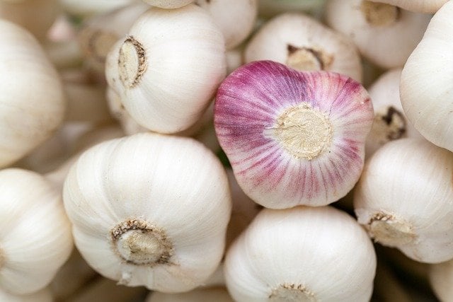 Garlic Companion Plants: 5+ Options