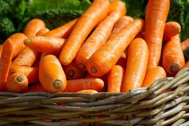 How to Grow Carrots in a Raised Bed