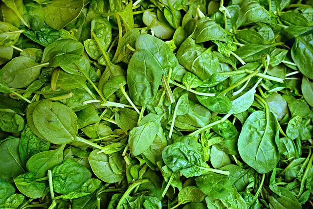 7 Best Spinach Companion Plants