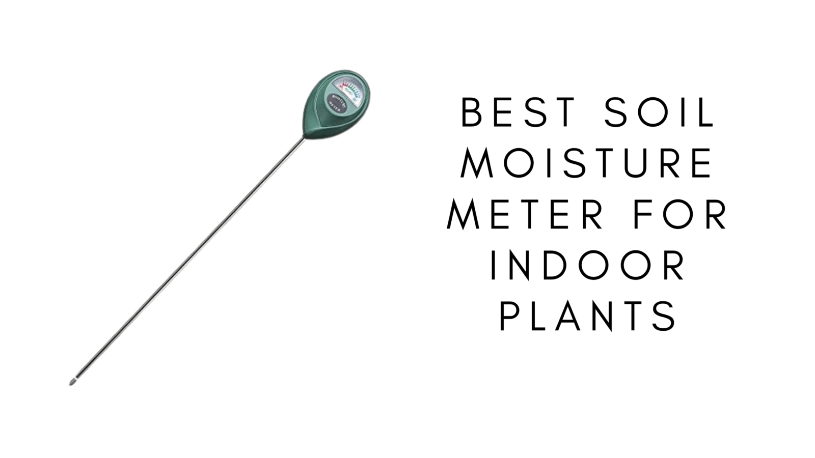 Best Soil Moisture Meter For Indoor Plants Webgardener Learn