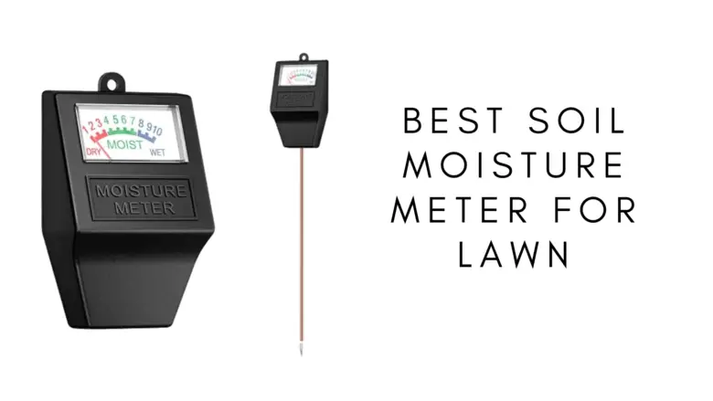 Best Soil Moisture Meter For Lawns